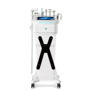 Intelligent Multifunctional Aquaskin System for Advanced Skin Rejuvenation and Whitening