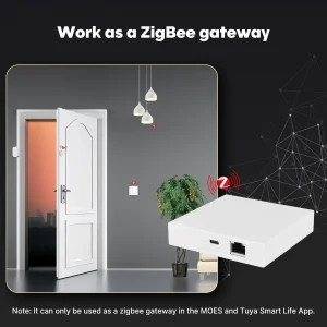 Wireless Matter Gateway for Smart Home Devices with ZigBee Compatibility and Voice Assistant Integration via Alexa, Google Home, and More