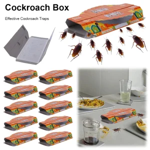 10-Pack Indoor Sticky Glue Roach Traps for Effective Pest Control and Insect Removal