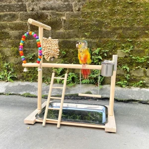 Wooden Parrot Playstand with Stainless Steel Feeding Cups and Climbing Ladder for Parakeet Cockatiel Lovebirds