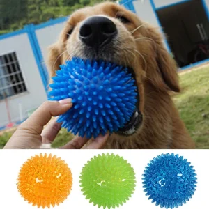 Interactive Pet Training Toy Ball for Dogs and Cats with Squeaker and Teeth Cleaning Protrusions