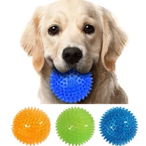 Interactive Pet Training Toy Ball for Dogs and Cats with Squeaker and Teeth Cleaning Protrusions