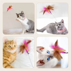 Interactive Cat Toys and Accessories – Feather Teaser Stick with Bell for Kitten Playing and Training