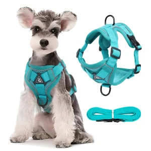 Adjustable Reflective No-Pull Dog Harness Leash Set for Small Medium Dogs Cats Breathable Vest Pet Chest Strap