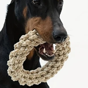 Rope Toy for Medium to Large Dogs, Durable Bite Resistant Chew Toy for Golden Retriever, Pitbull, Labrador and Similar Breeds