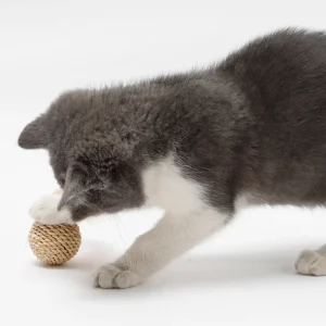 Interactive Cat Toy Duo – Feathered Frenzy and Rattan Ball Stimulate Play for Your Feline Friend